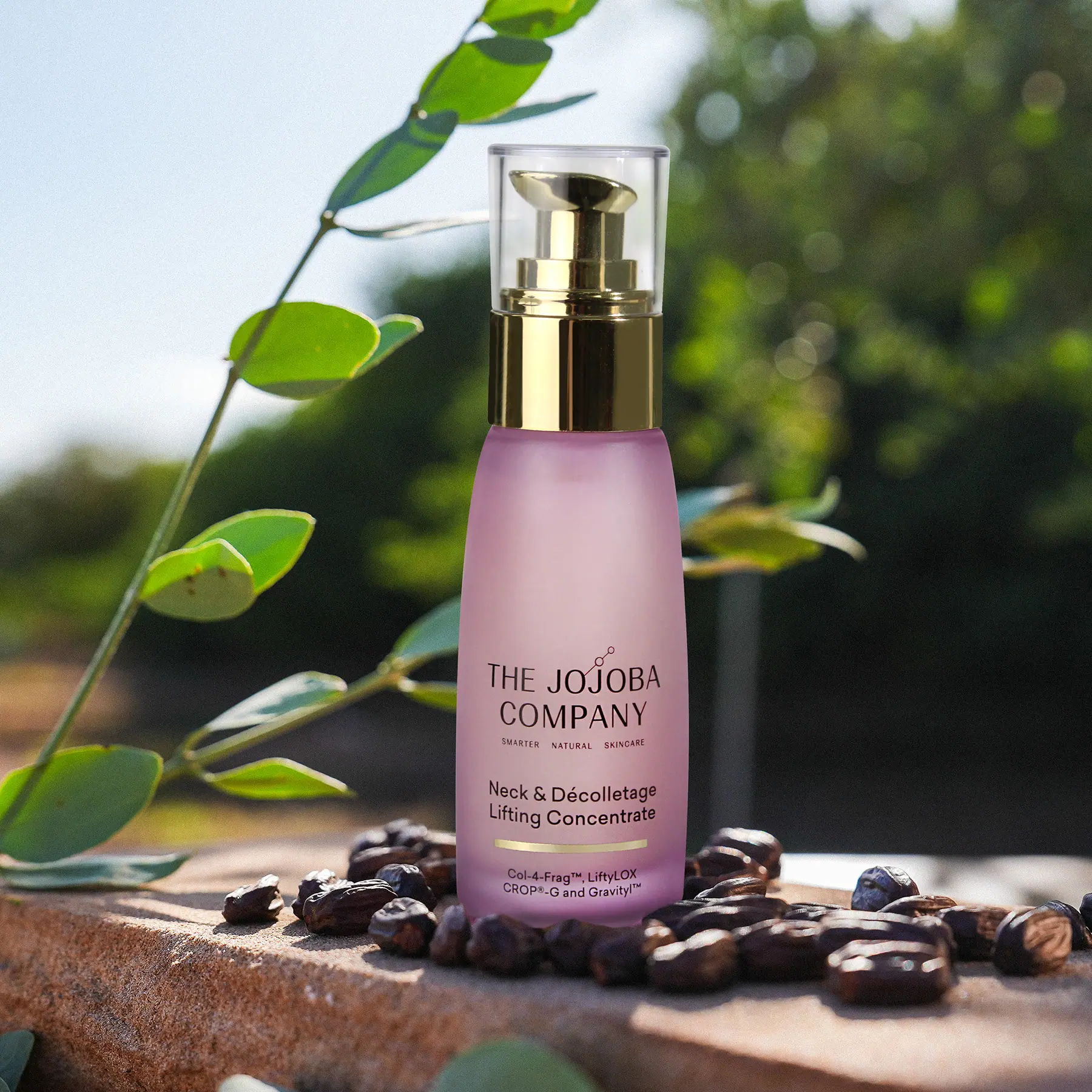 The Jojoba Company Neck & Décolletage Lifting Concentrate 50mL