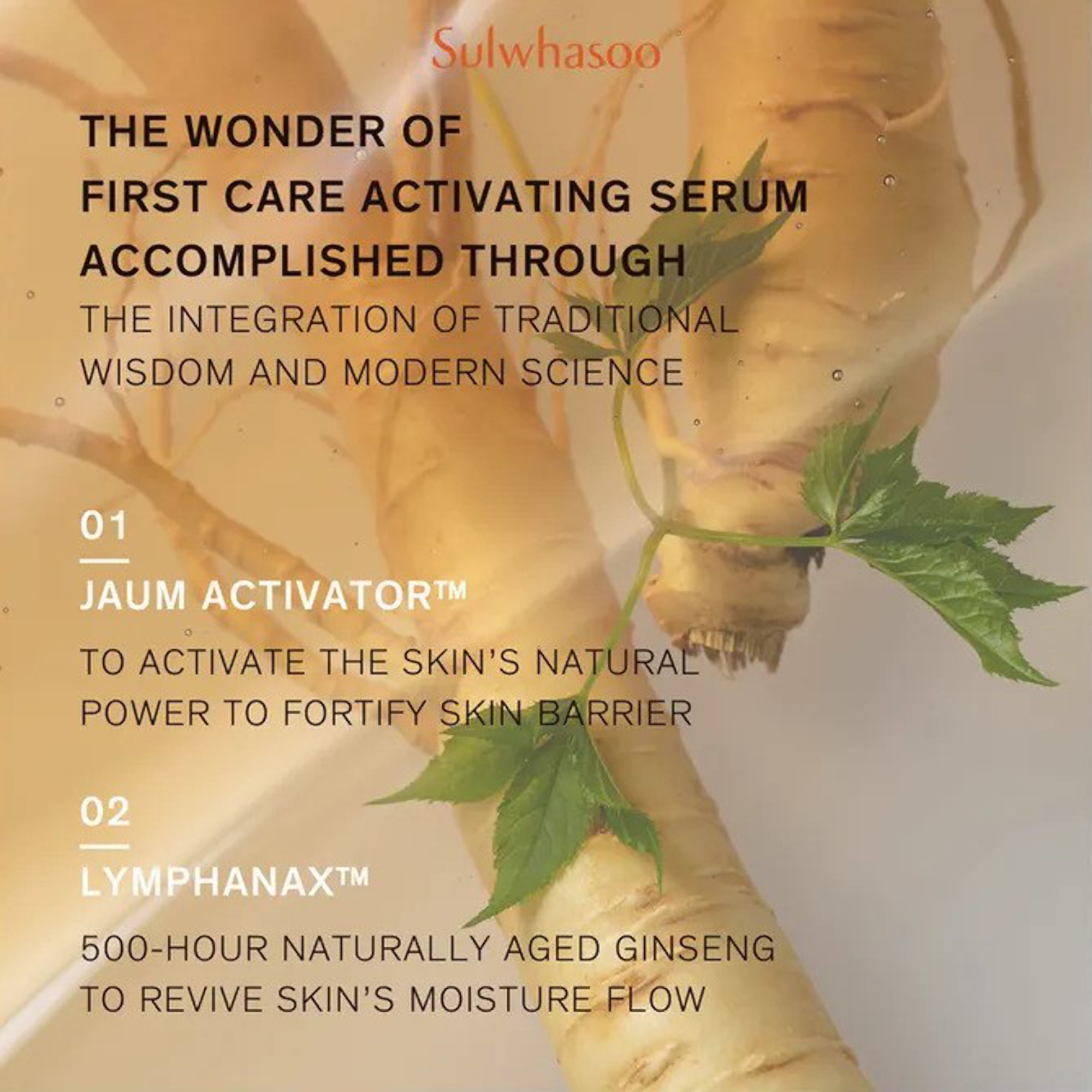 Sulwhasoo First Care Activating Serum VI Lunar New Year Edition 120ml (Year of Horse Limited Edition