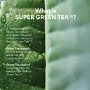 INNISFREE Green Tea Ceramide Cream