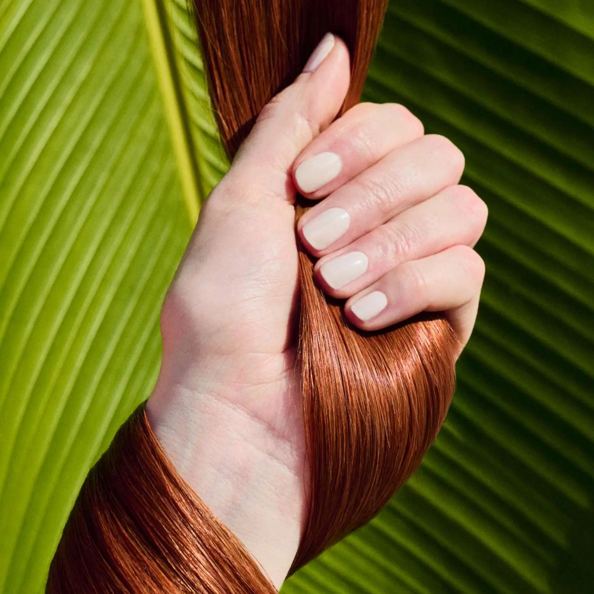 Coco & Eve Pro Bond Conditioner