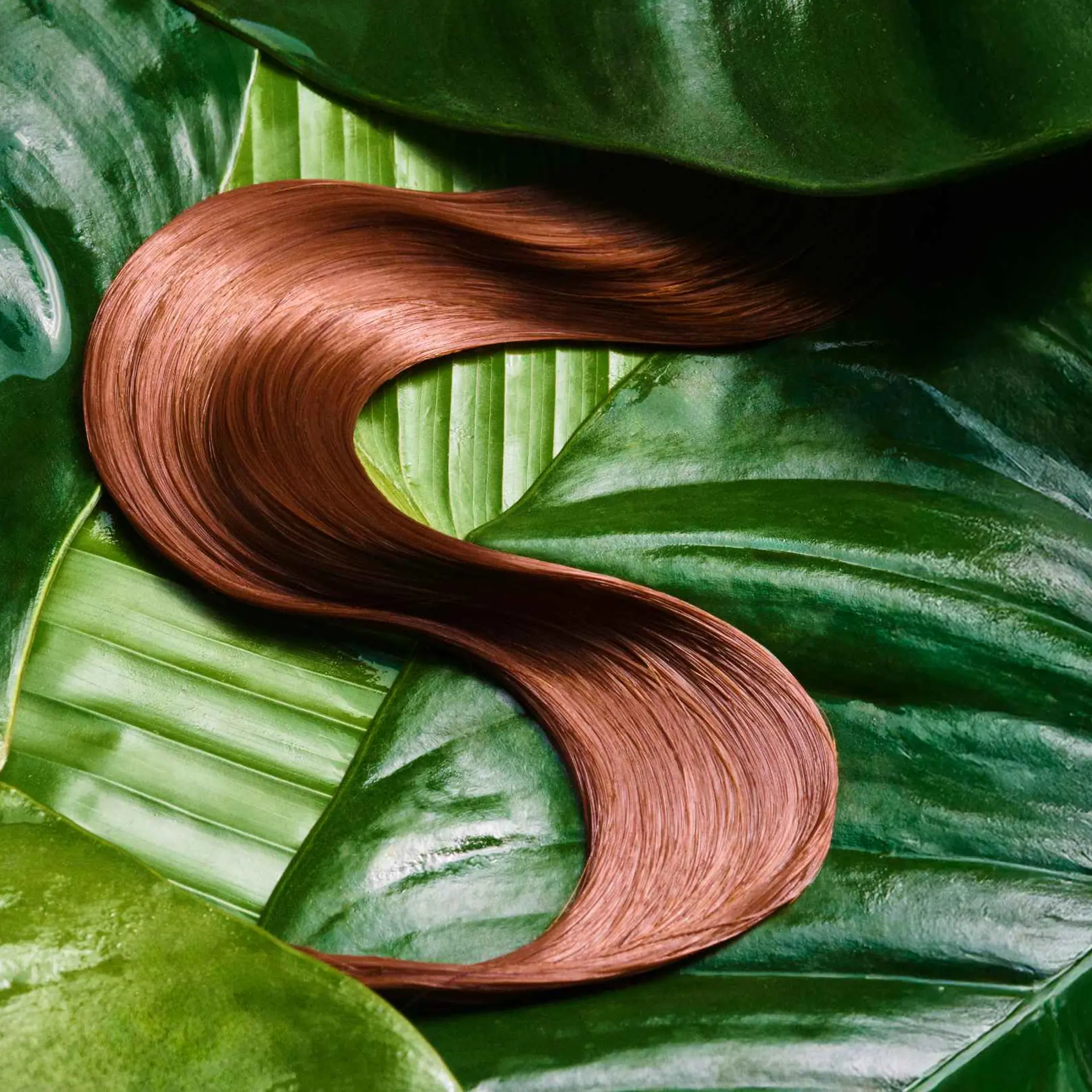 Coco & Eve Pro Bond Hair Mask