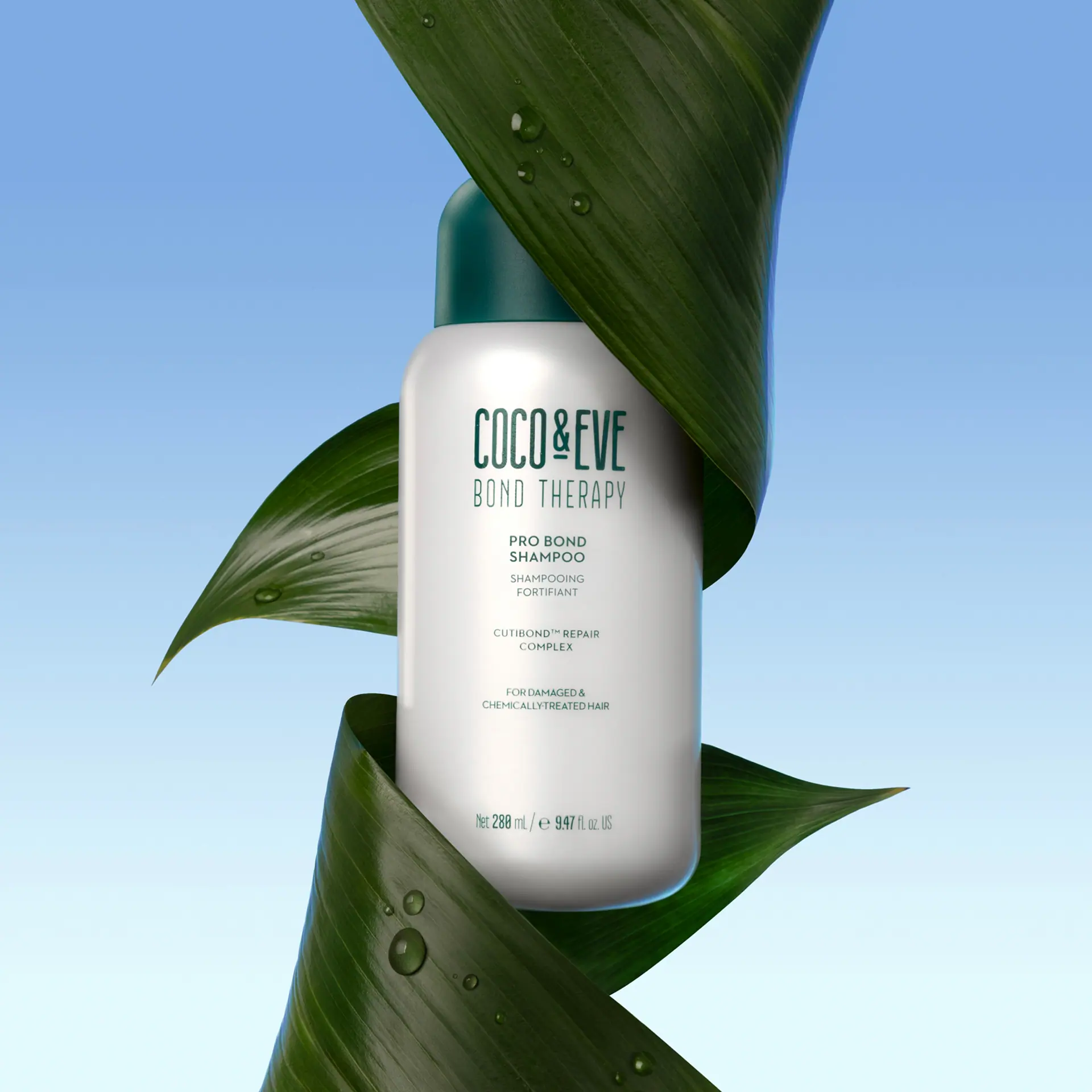 Coco & Eve Pro Bond Shampoo