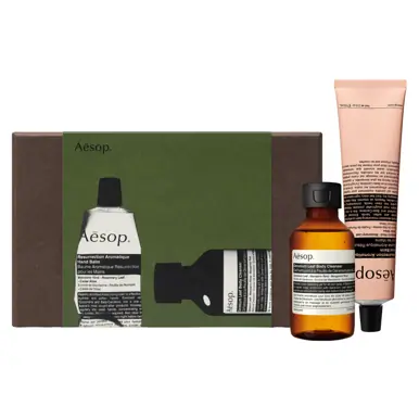 Aesop Greetings in the Guest Room Hand & Body Duo