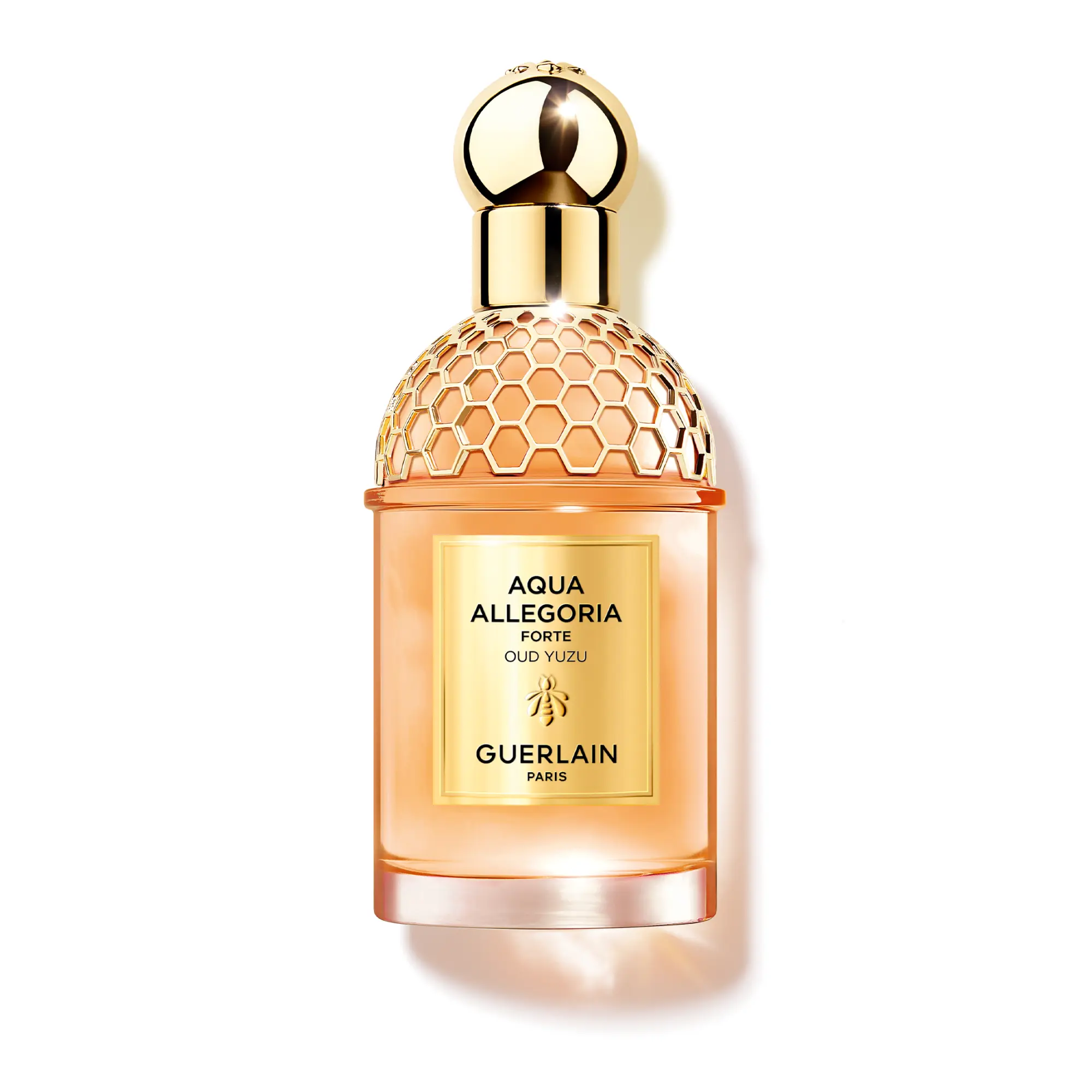 Aqua Allegoria Woody Forte Oud Yuzu
