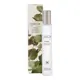 CIRCA 10ml Scent Oil - Alchemy Energise - EUCALYPTUS & BERGAMOT