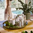 CIRCA 250ml Diffuser - Alchemy Energise - EUCALYPTUS & BERGAMOT