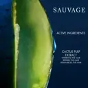 DIOR Sauvage Shampoo 250ml