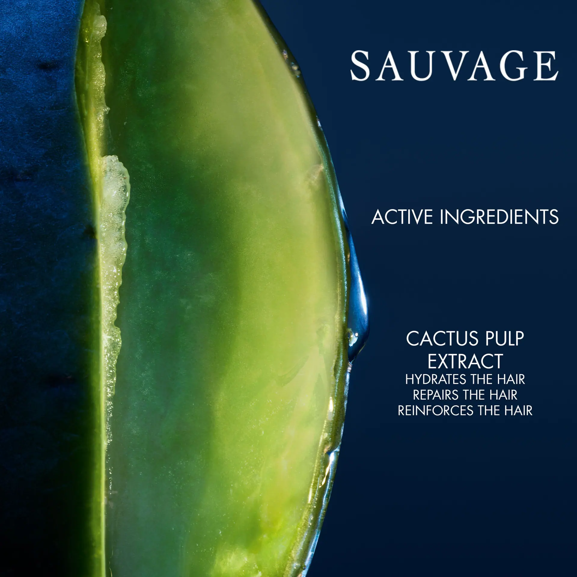 DIOR Sauvage Shampoo 250ml