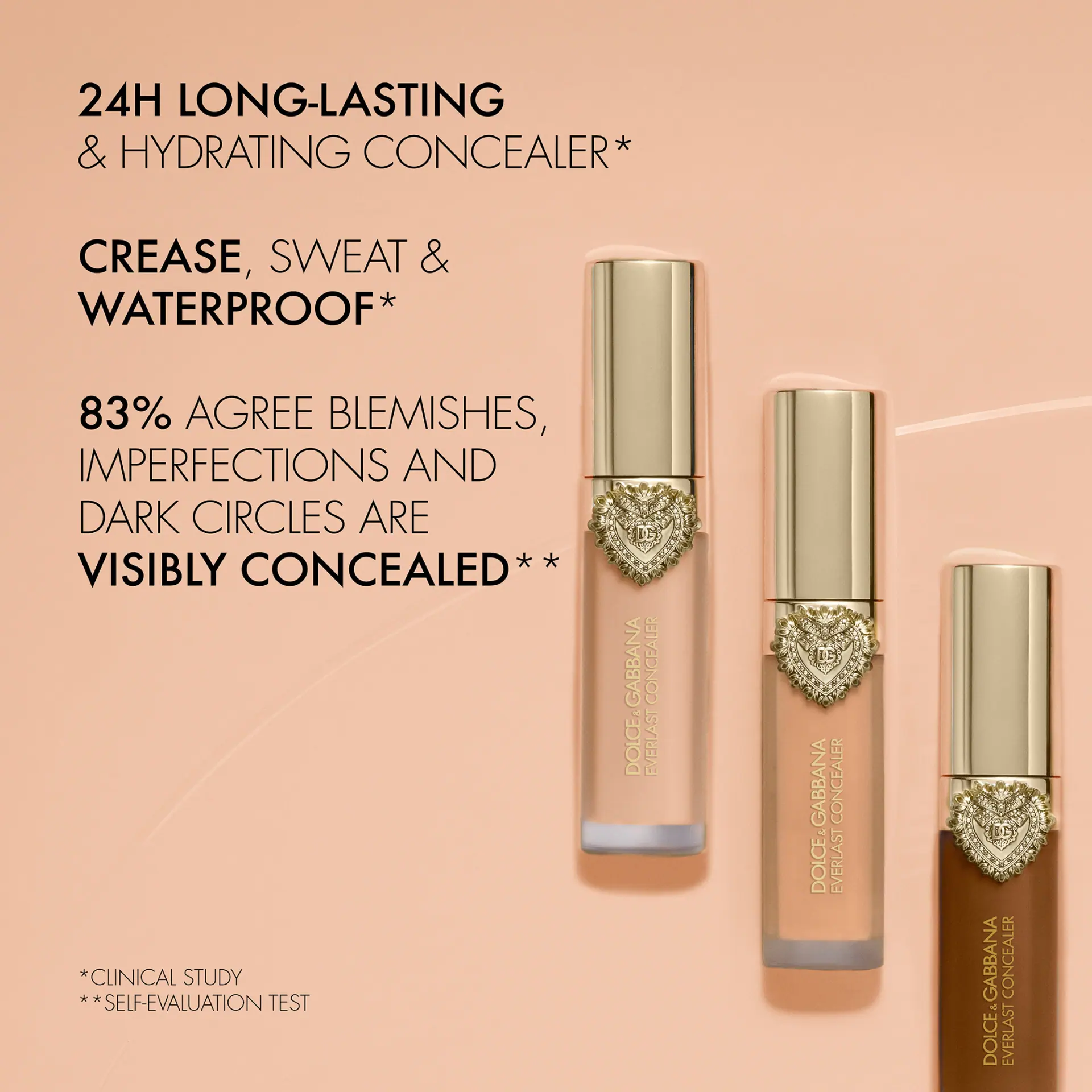Dolce & Gabbana Everlast Concealer