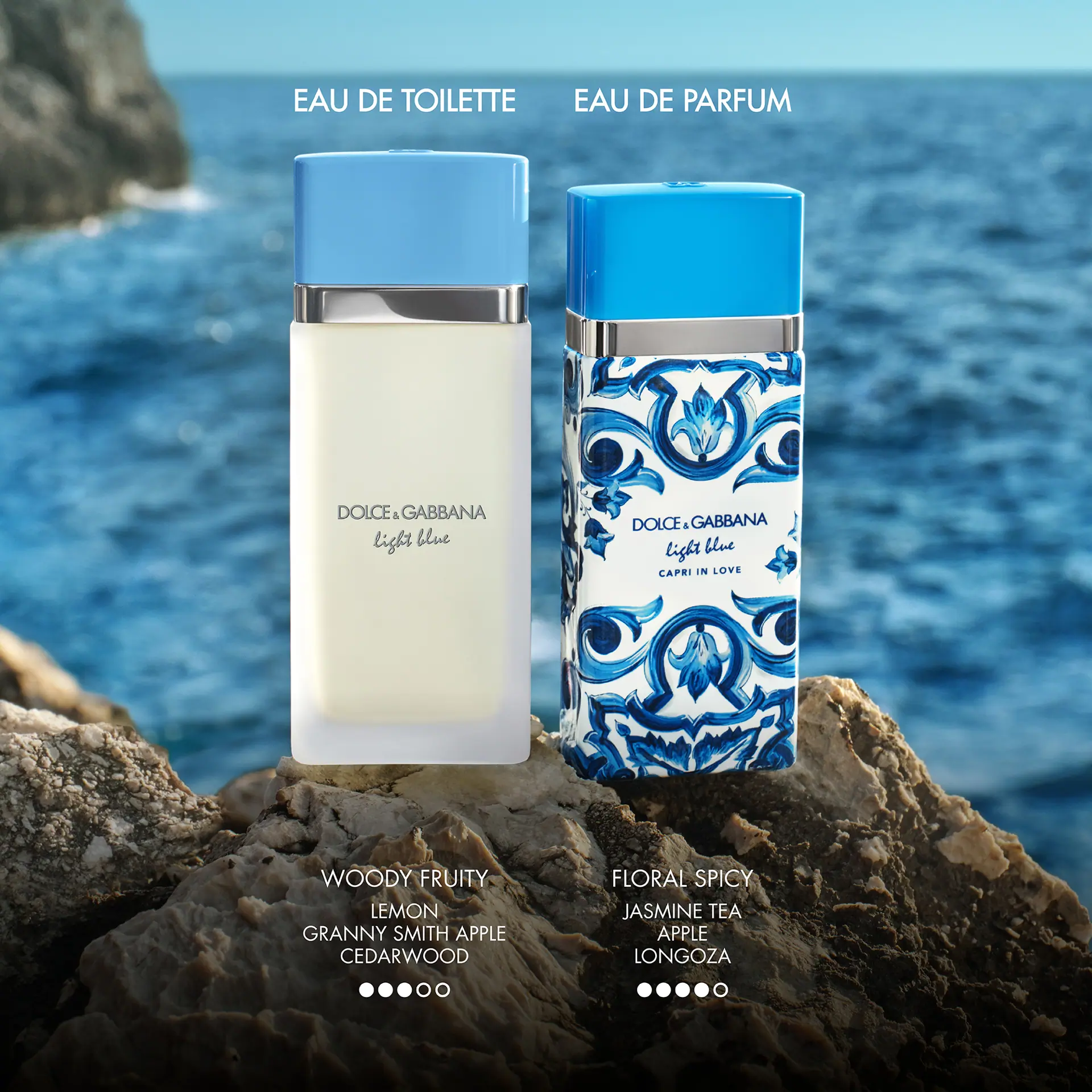 Dolce & Gabbana Light Blue Eau de Toilette 100ml