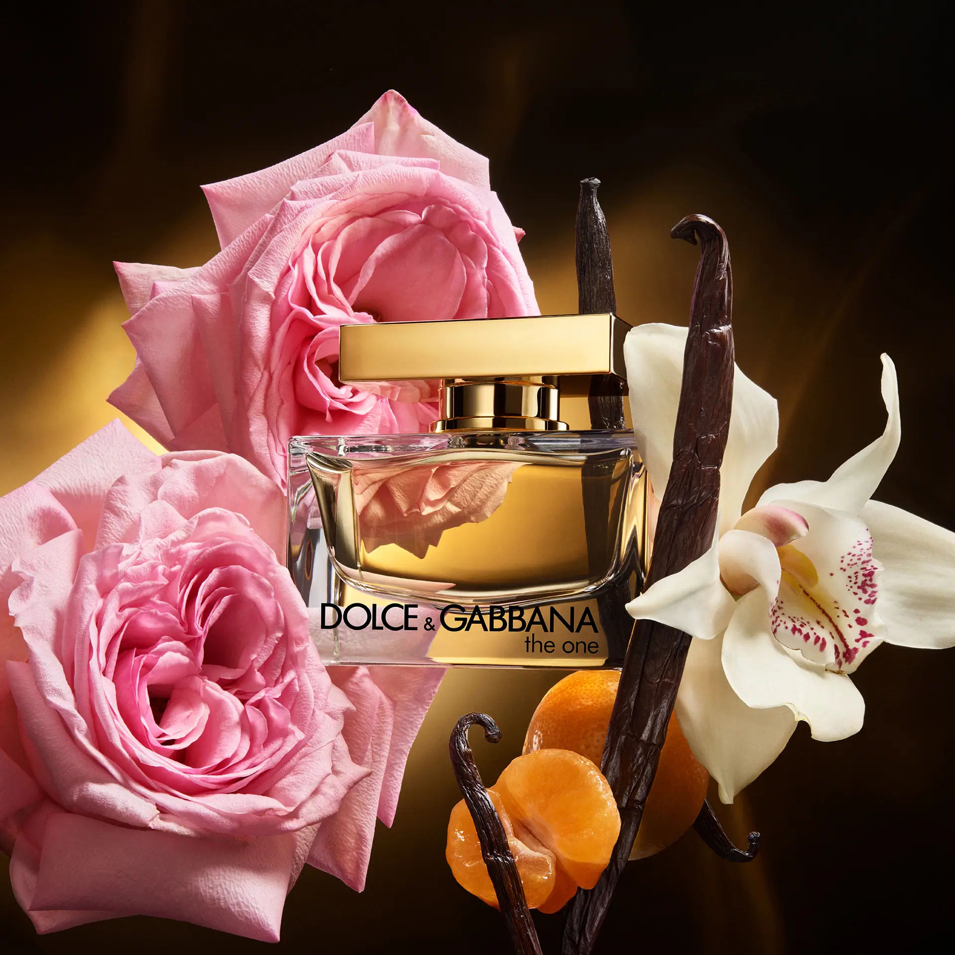 Dolce & Gabbana The One Eau de Parfum 50ml