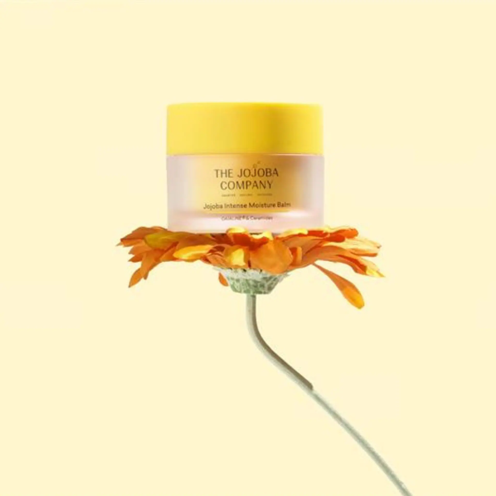 The Jojoba Company Jojoba Intense Moisture Balm 50ml