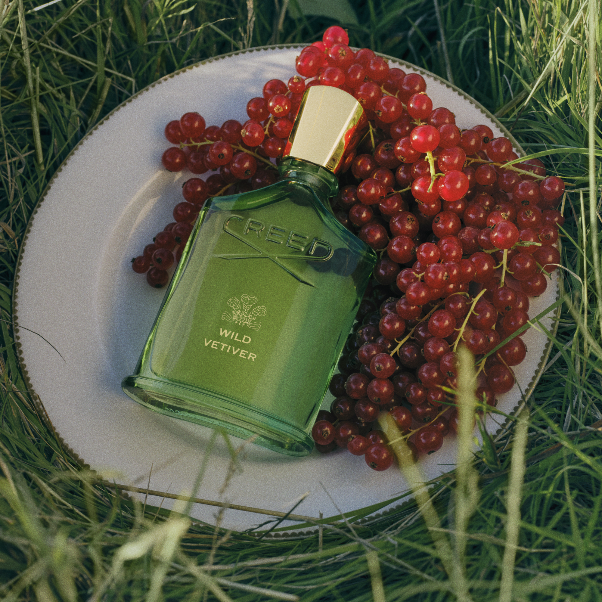 Creed Wild Vetiver 50ml