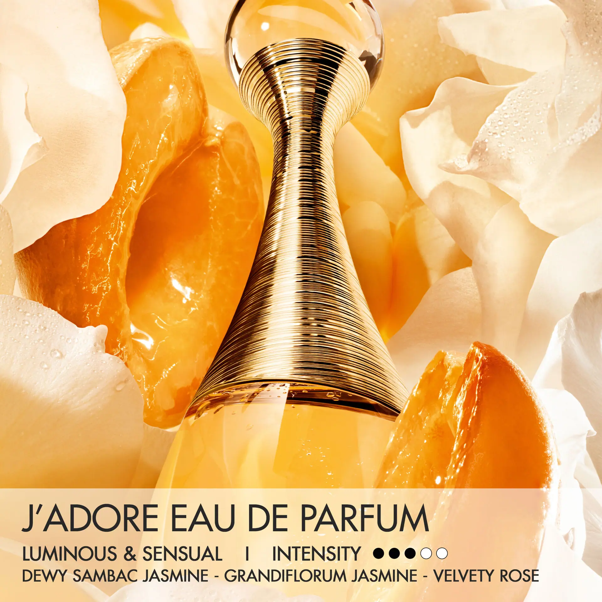 DIOR J'Adore Eau de Parfum 100ml Coffret