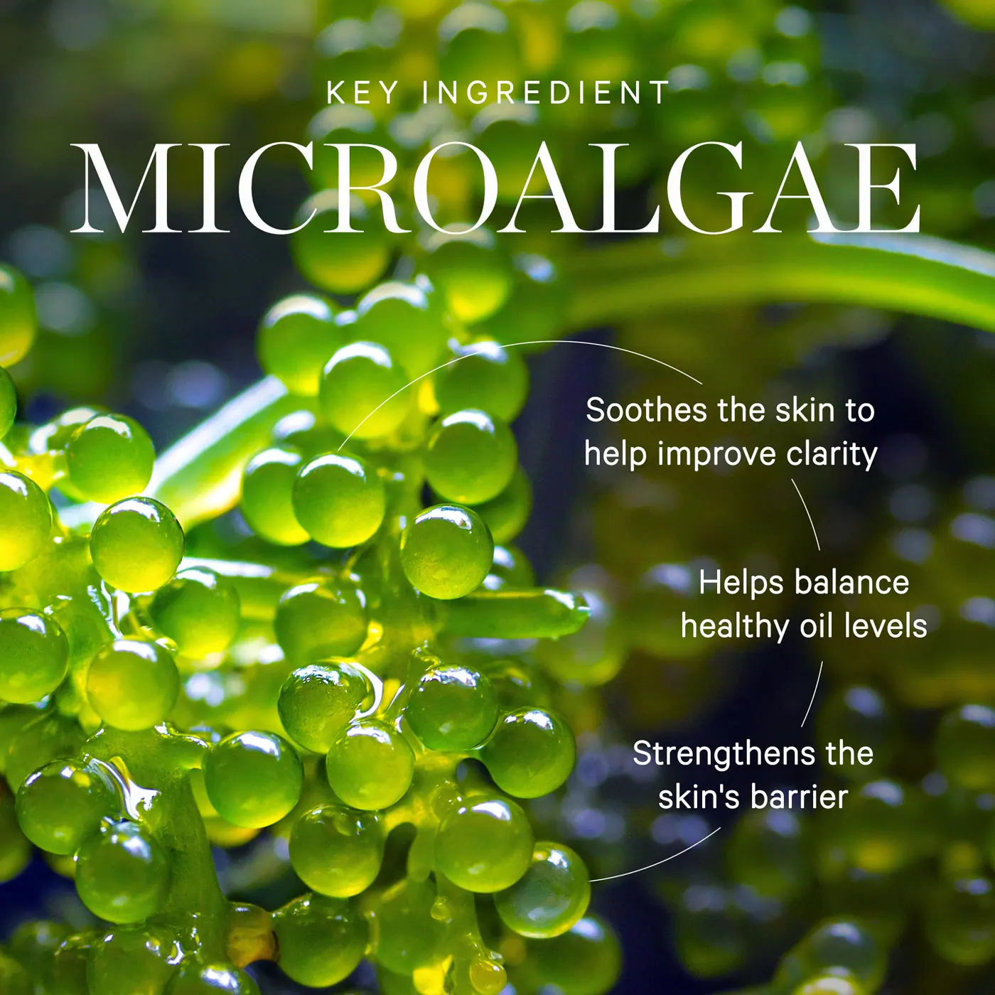 KORA Organics Active Algae Minty Mist