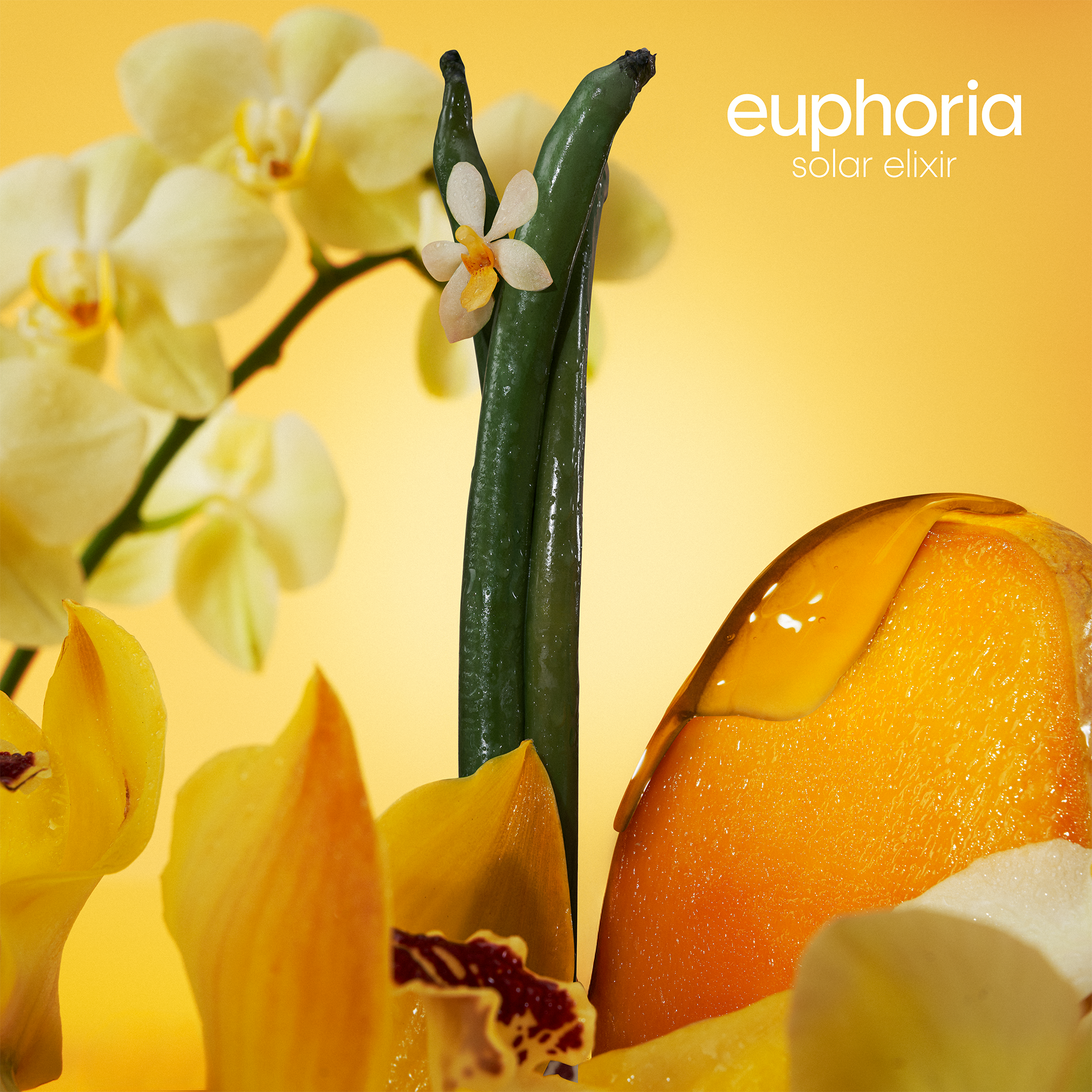 Calvin Klein Euphoria Solar Elixir Parfum Intense 50Ml