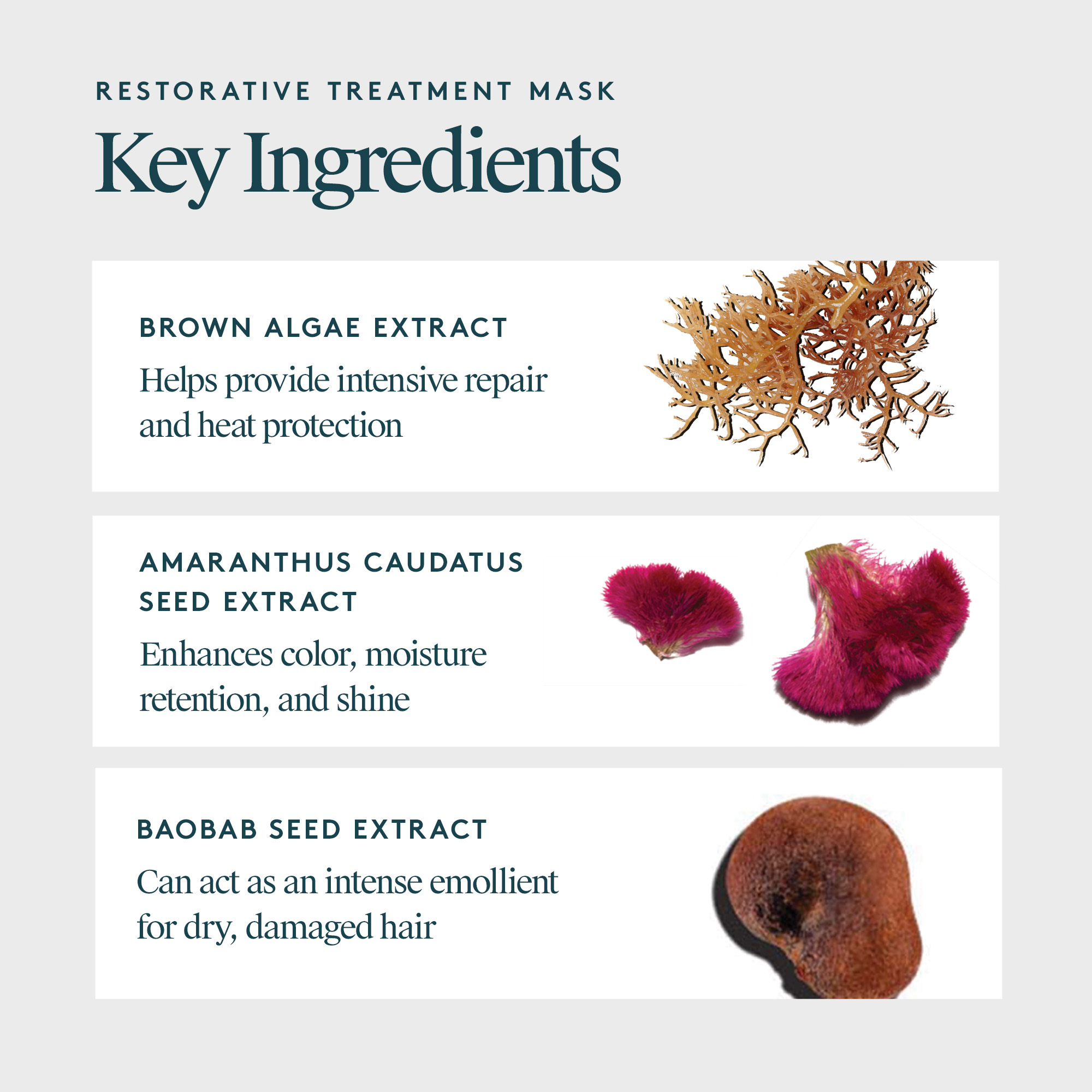 VIRTUE Restorative Treatment Mask 150ml