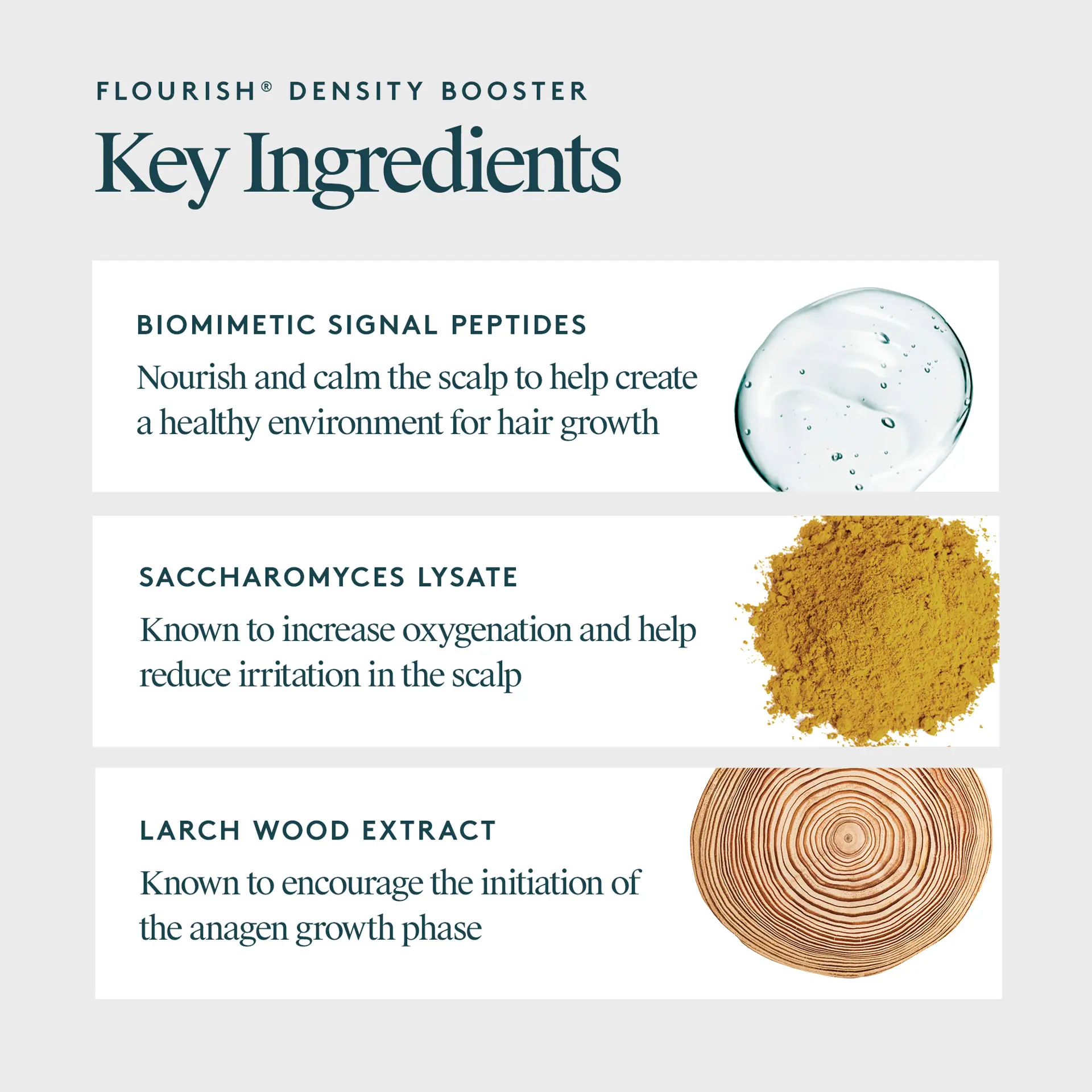 VIRTUE Flourish Density Booster 120ml