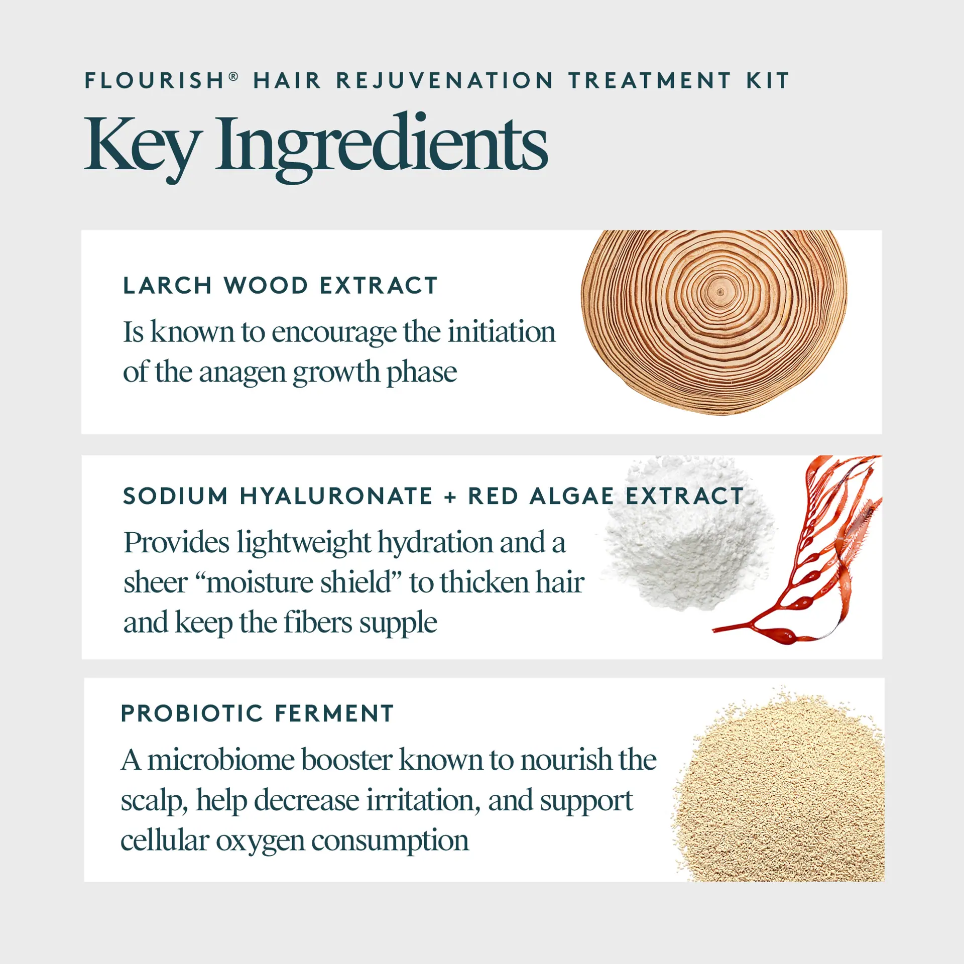 VIRTUE Flourish Hair Rejuvenation Treatment 1 Month