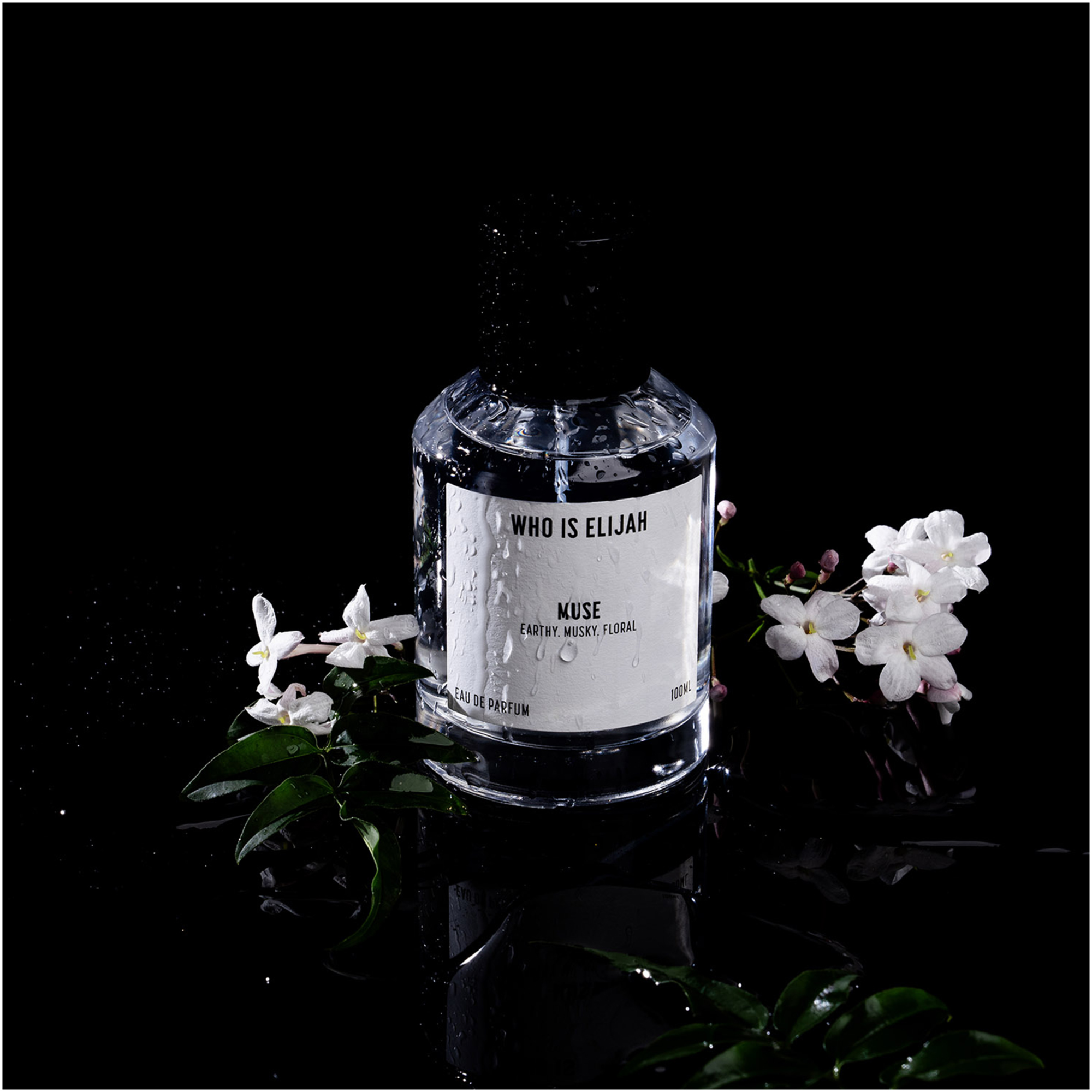 Who Is Elijah 100ML MUSE