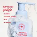 First Aid Beauty Ultra Gentle Cream-to-Foam Cleanser 177ml