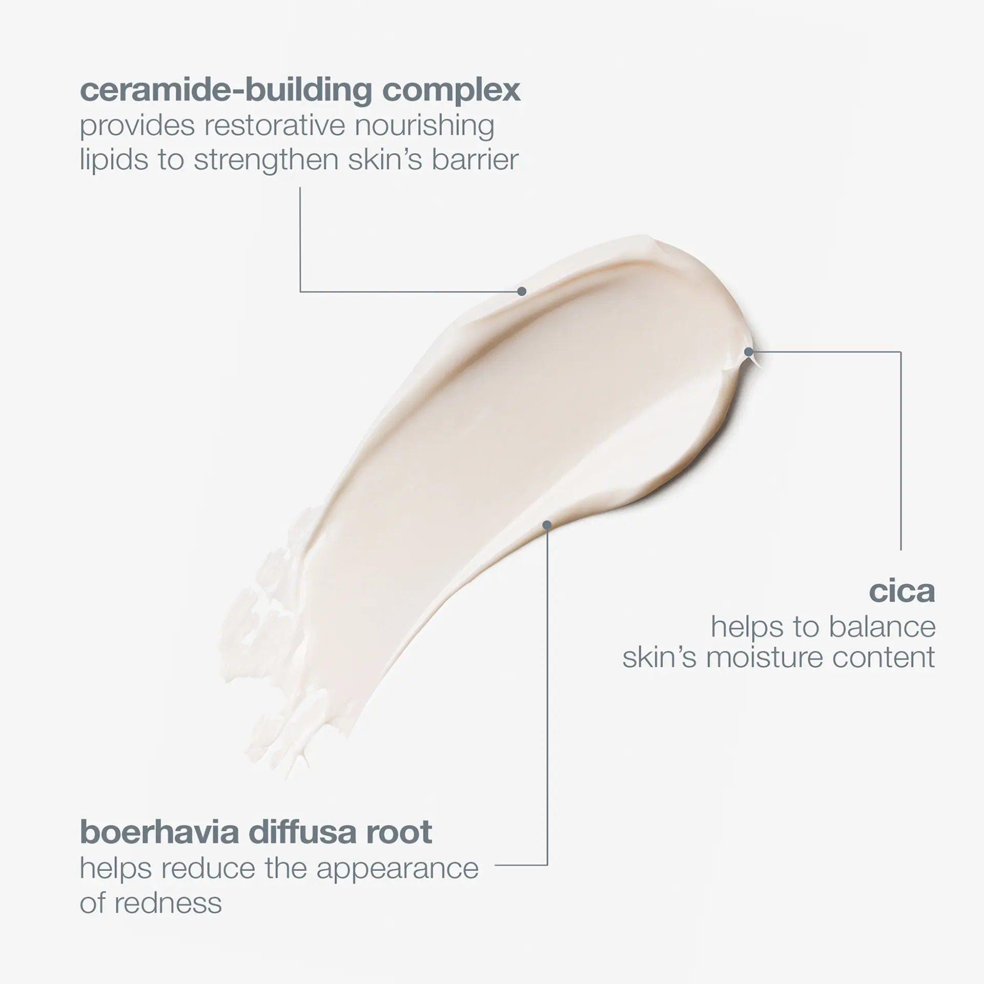 Dermalogica Stabilising Repair Cream