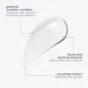 Dermalogica Active Moist Jumbo