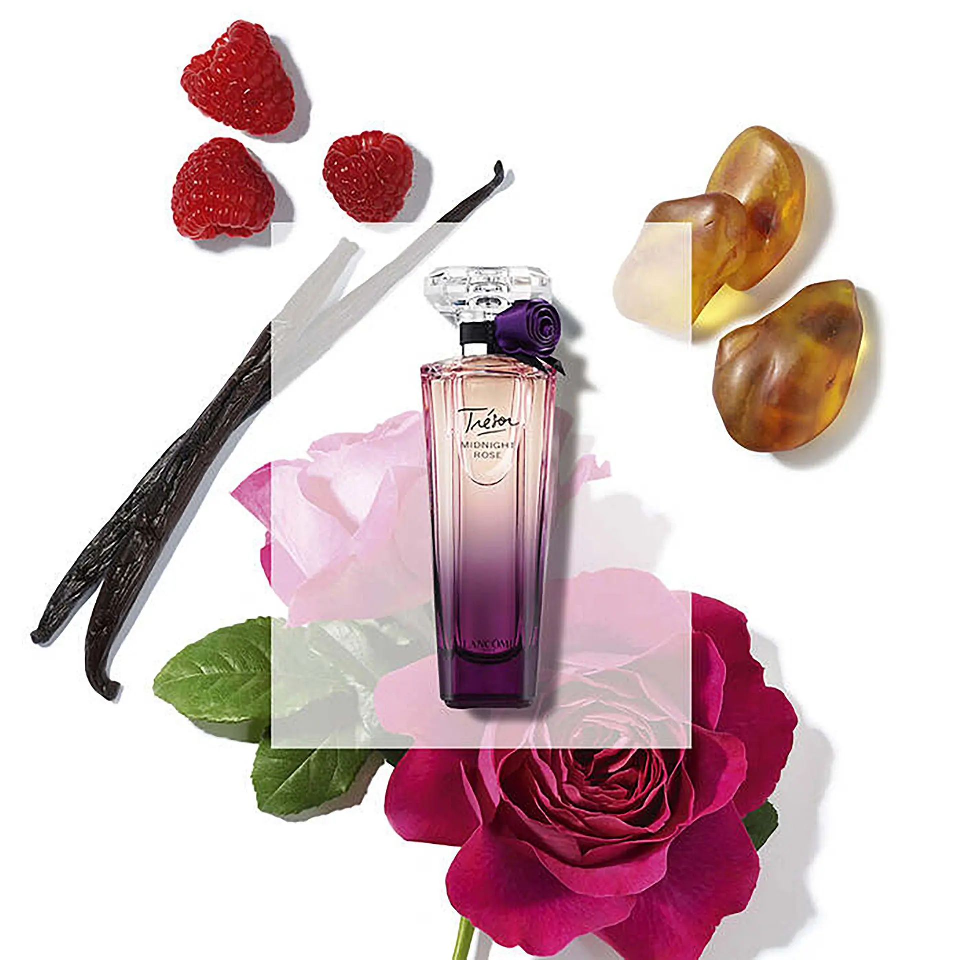 Lancôme Trésor Midnight Rose 50ml