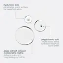 Dermalogica Circular Hydration Serum Jumbo 59ml