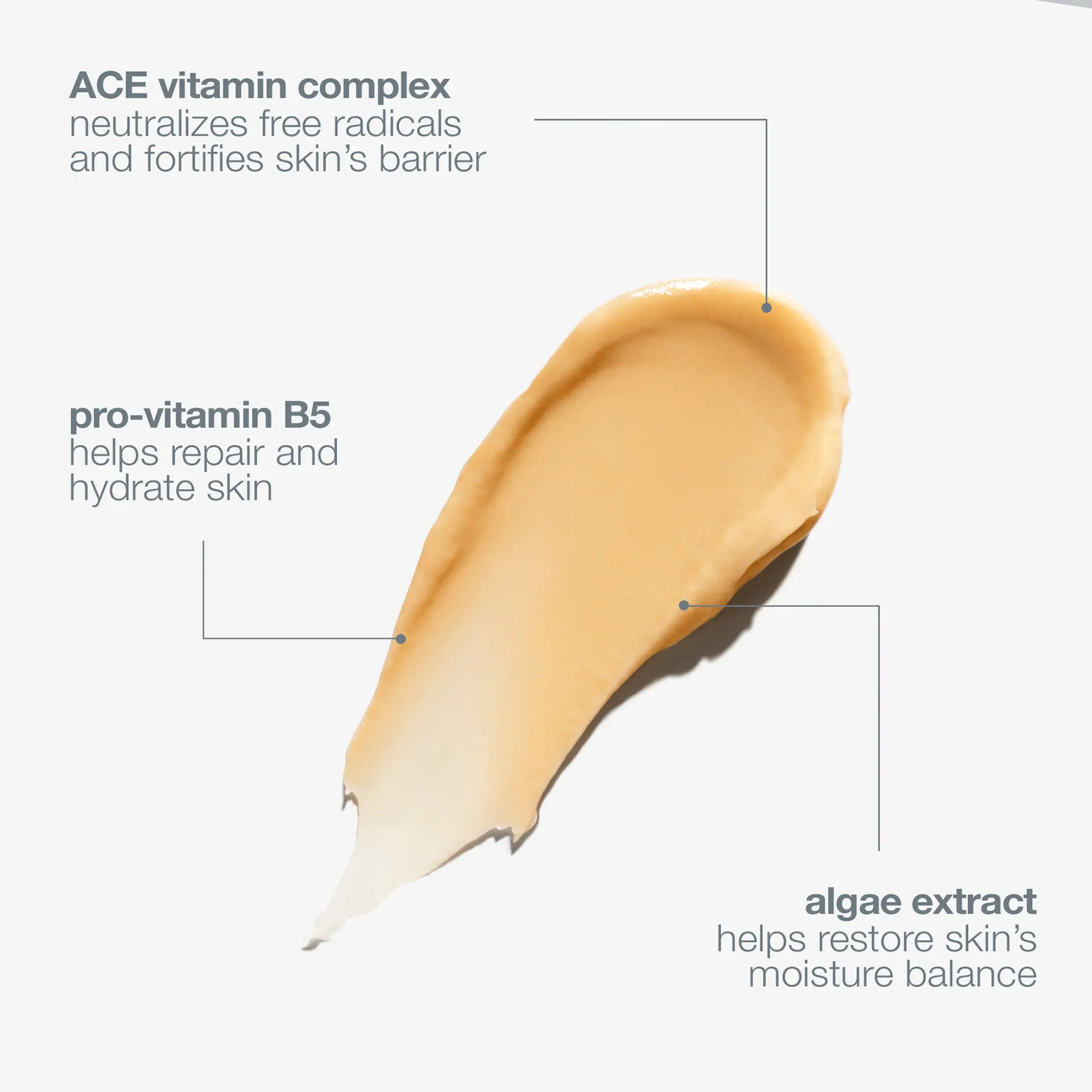 Dermalogica MultiVitamin Power Recovery Masque