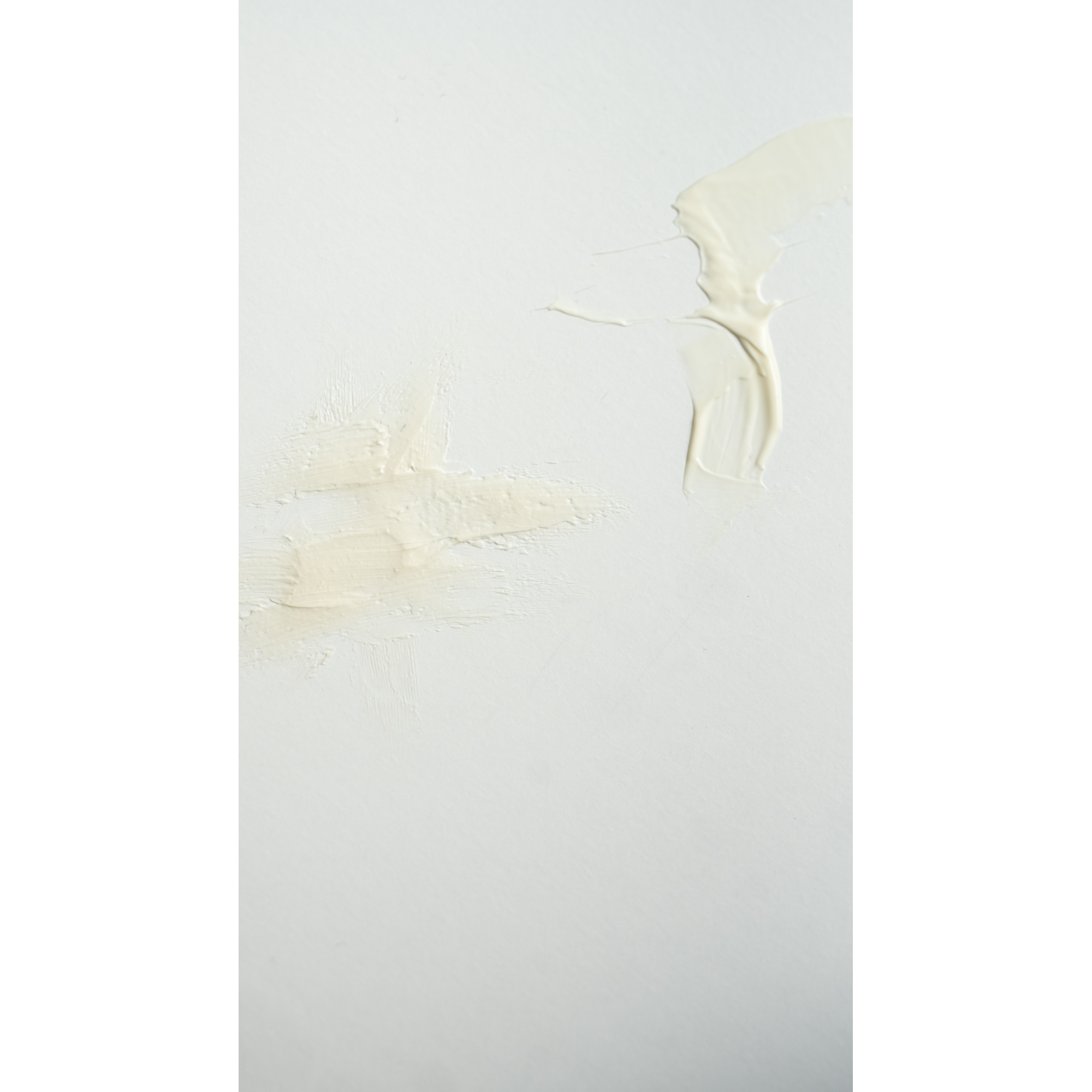 Weleda Skin Food Light 75ml