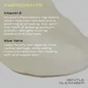 Skinstitut Gentle Cleanser