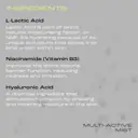 Skinstitut Multi-Active Mist