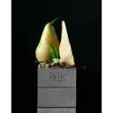 BDK Pas Ce Soir Extrait 50ml