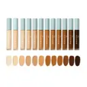 Basics by B Alter Ego Concealer
