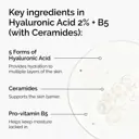 The Ordinary Hyaluronic Acid 2% + B5 120ml