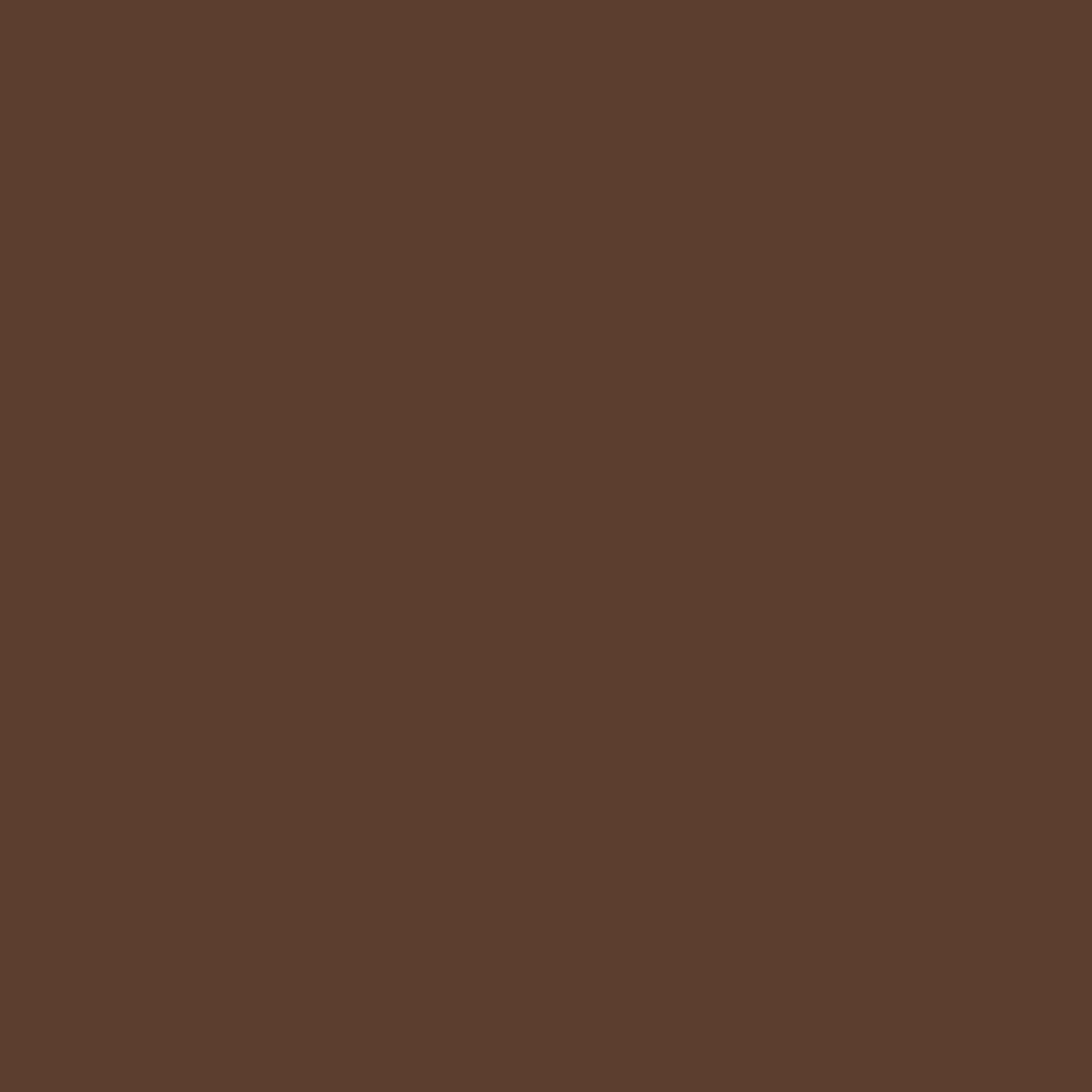 ColorWOW Medium Brown Root Cover Up