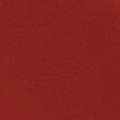N19