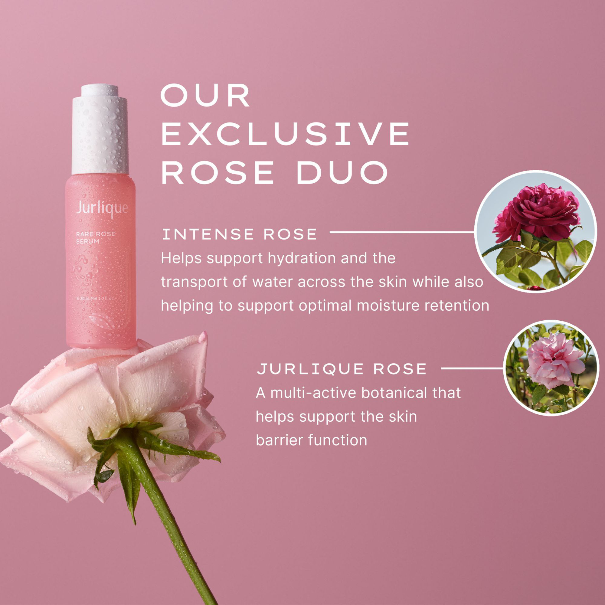 Jurlique Rare Rose Serum 30ml