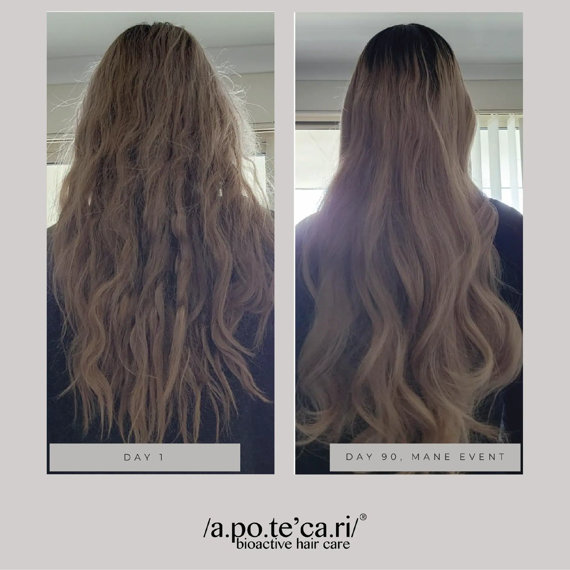 Apotecari Mane Event 90 Day Kit