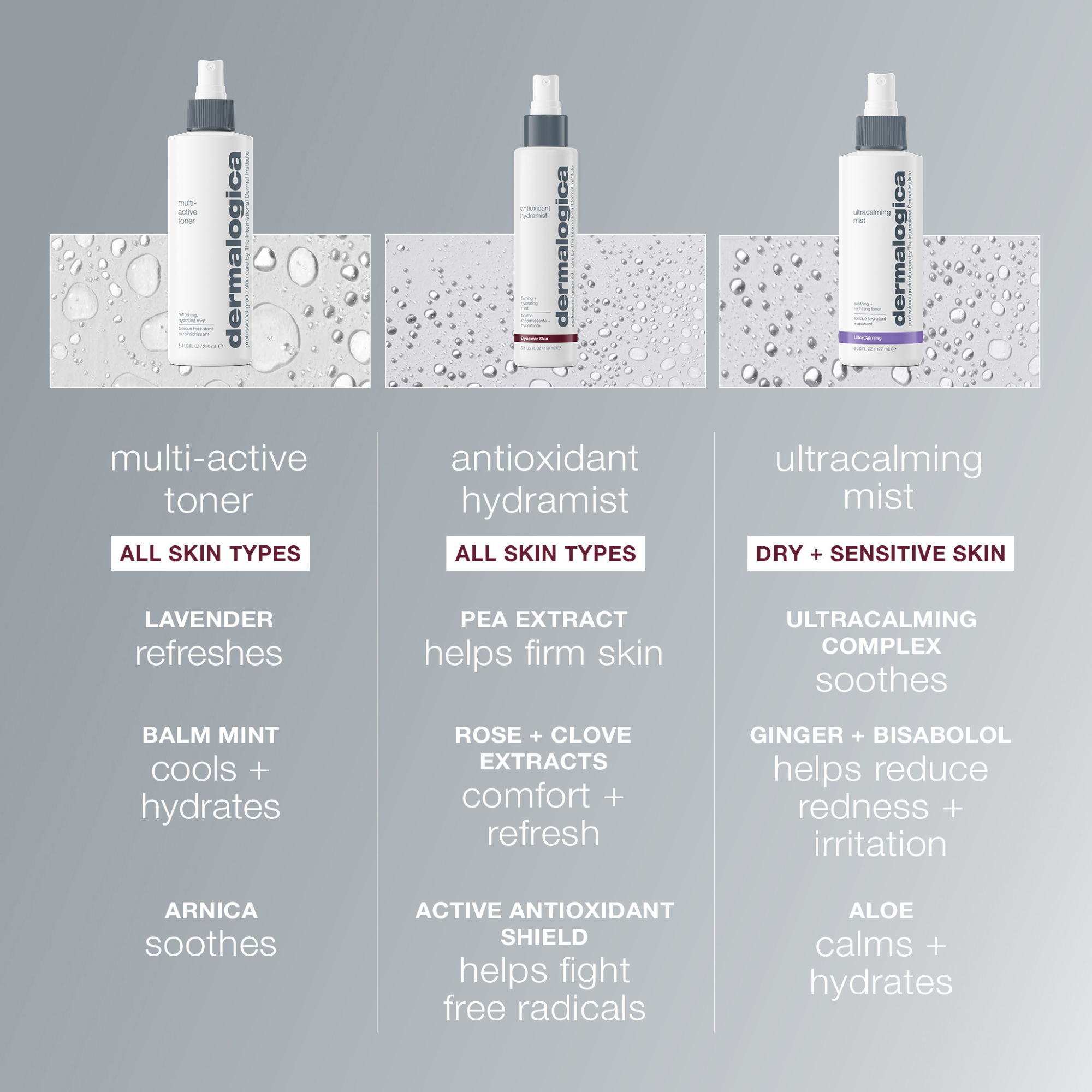 Dermalogica Antioxidant Hydramist 250ml