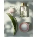 Mancera Mochi Musk 120ml