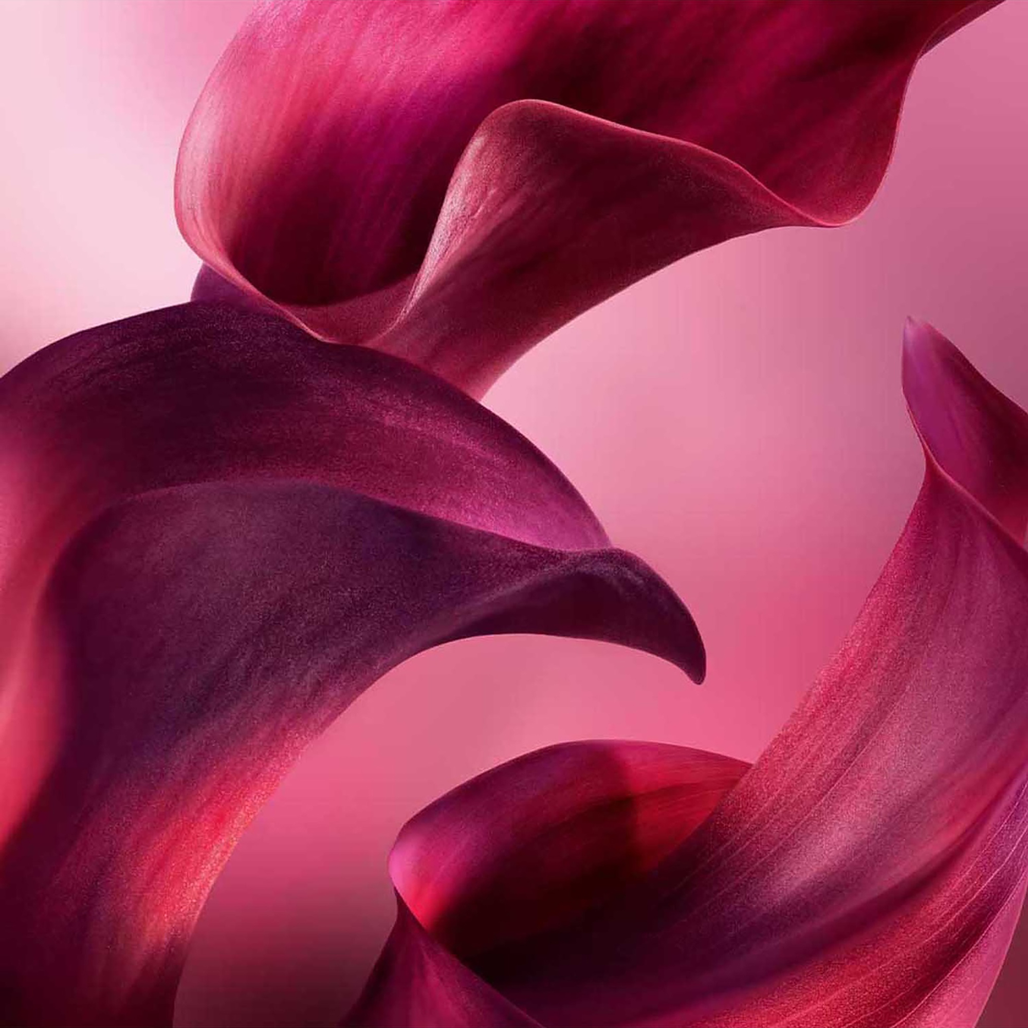 Lancôme La Vie Est Belle L'Elixir Very Cherry EDP 100ml