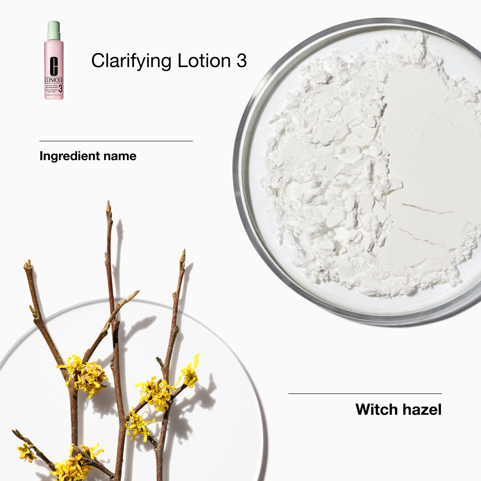 Clinique Great Skin Everywhere: For Combination Oily Set