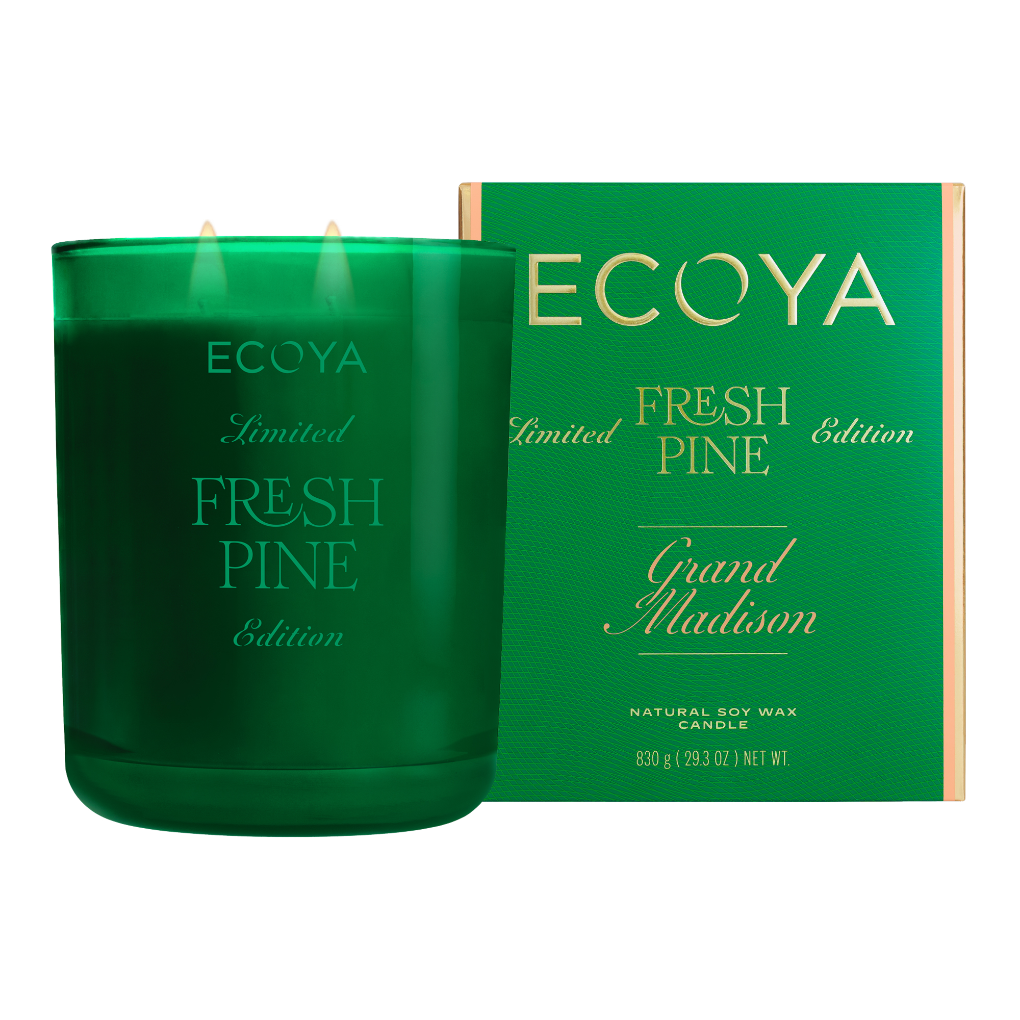ECOYA Fresh Pine Grand Madison 830g