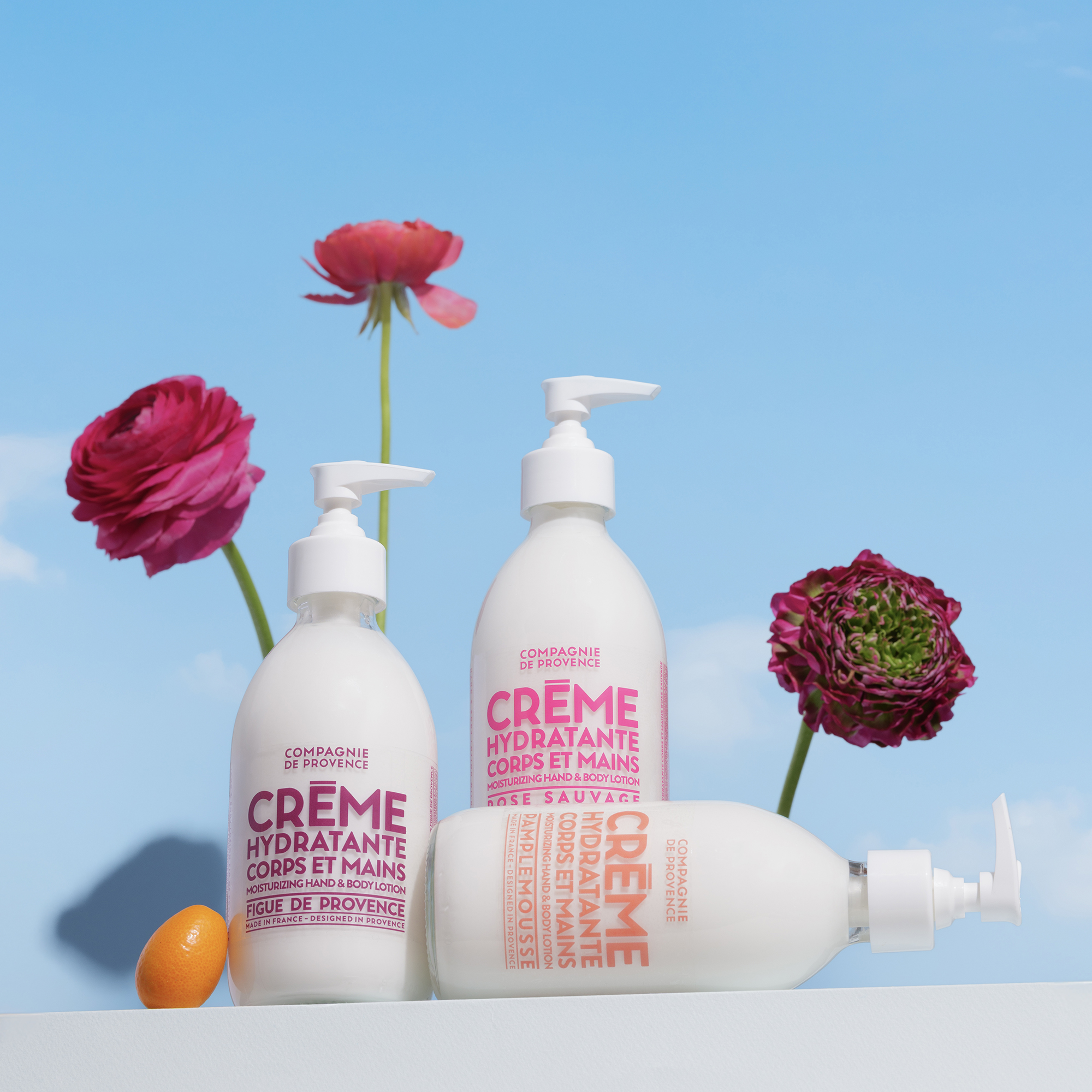 Compagnie de Provence  Wild Rose Hand & Body Cream 300ml